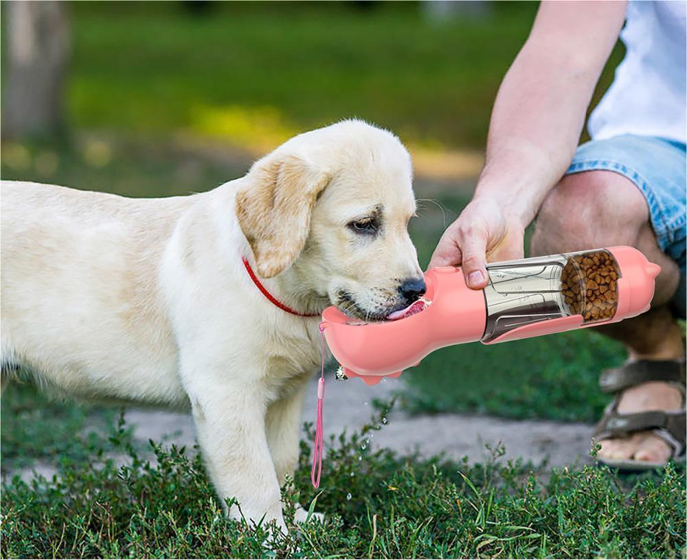 4 In 1 Dog Water Bottle